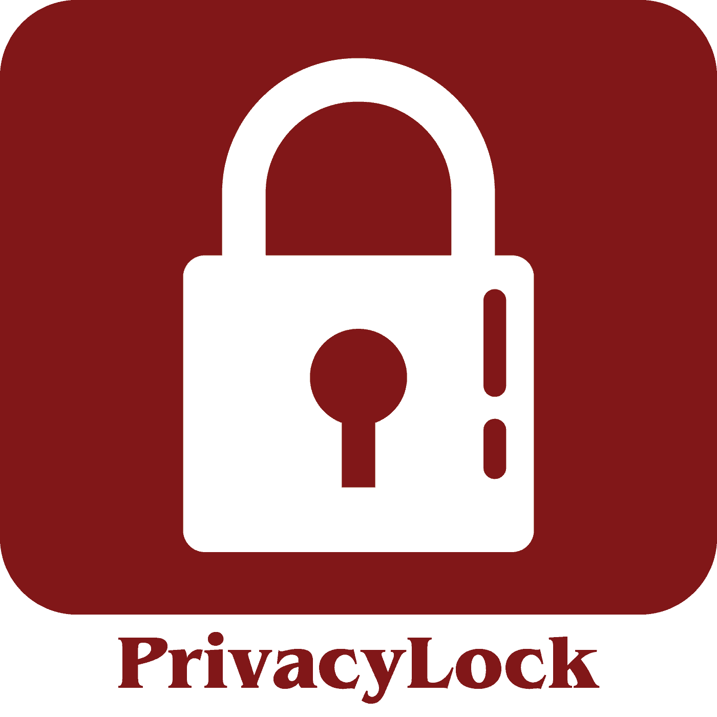 PrivacyLock Vinyl Fence PrivacyLock Vinyl Fence