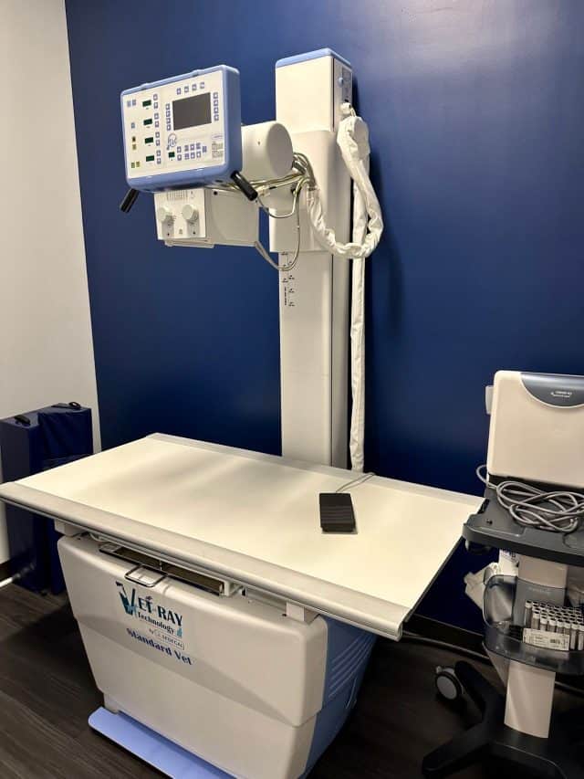 Working with local vet