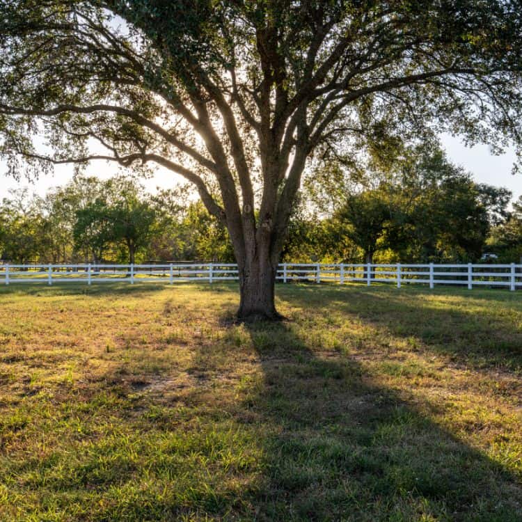 chattanooga-farm-fences-and-gates (750 x 750 px) pasture fence installers in chattanooga tn