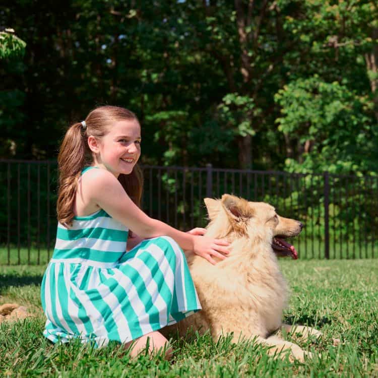 backyard fence companies