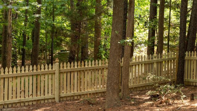 Top 5 Chesterfield Fence Ideas That Blend with Local Landscape — Inspire Your Yard Today!