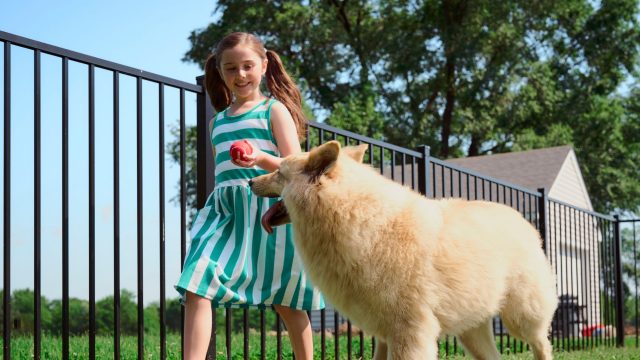 Designing Backyard Play Areas With Fence Company Rock Hill SC