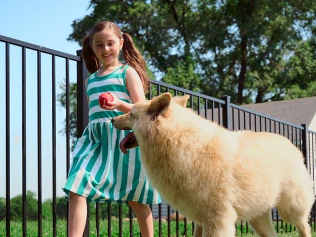 Designing Backyard Play Areas With Fence Company Rock Hill SC