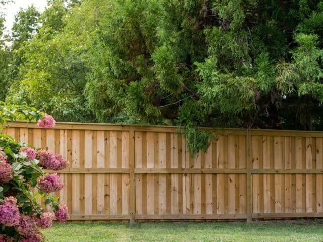 From Dull to Dreamy: Fence Company Denver Homeowners Choose
