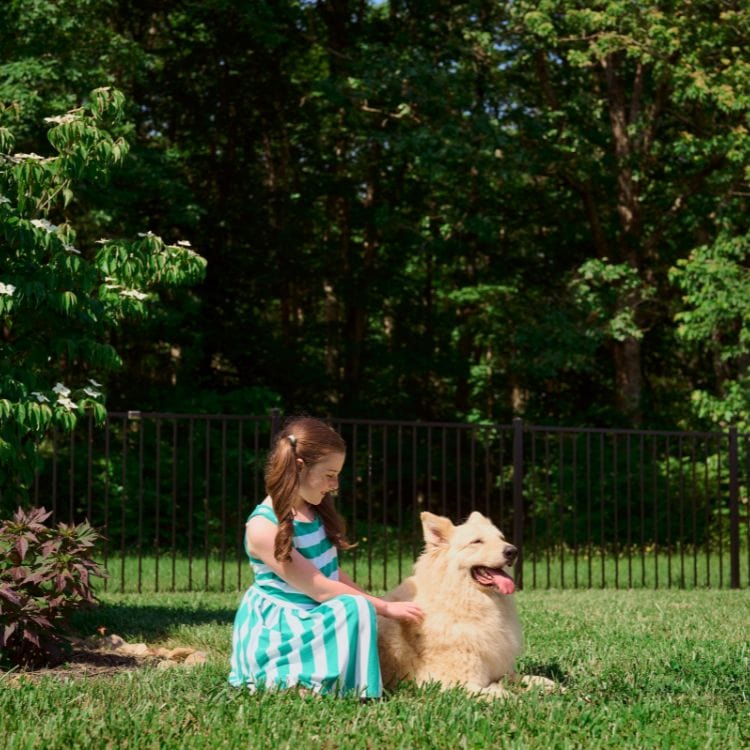 fence quotes near me Salt Lake City Your Source For Fence Quotes Near Me Is Superior Fence & Rail