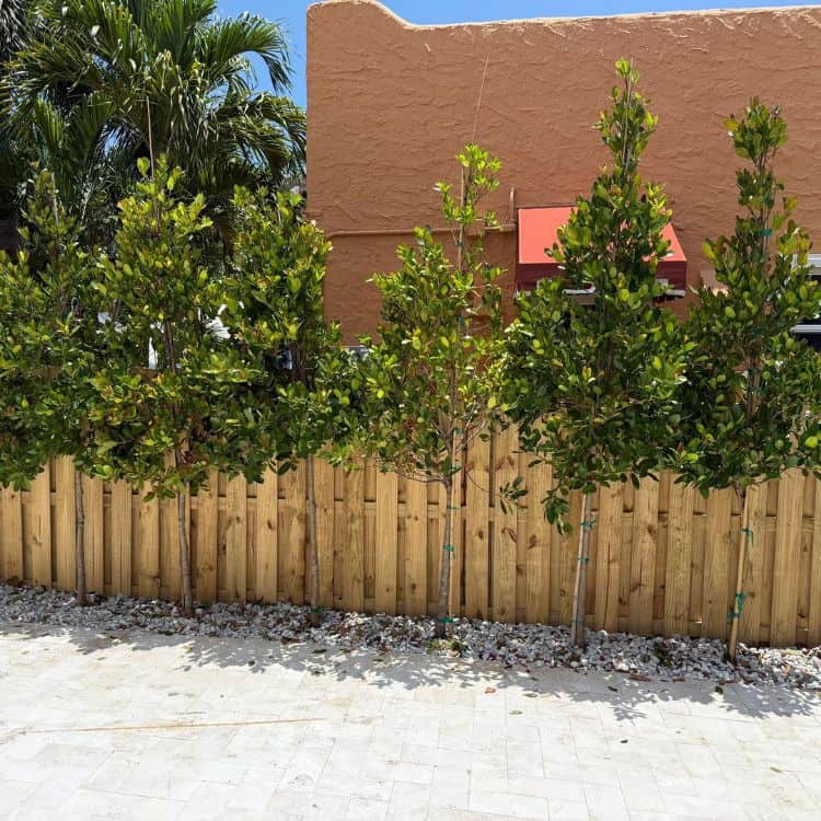 wooden fence company San Jose San Jose wooden fence company